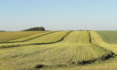 ce-poti-face-daca-vecinul-iti-ocupa-abuziv-terenul.-pasii-legali-pentru-a-ti-recupera-proprietatea