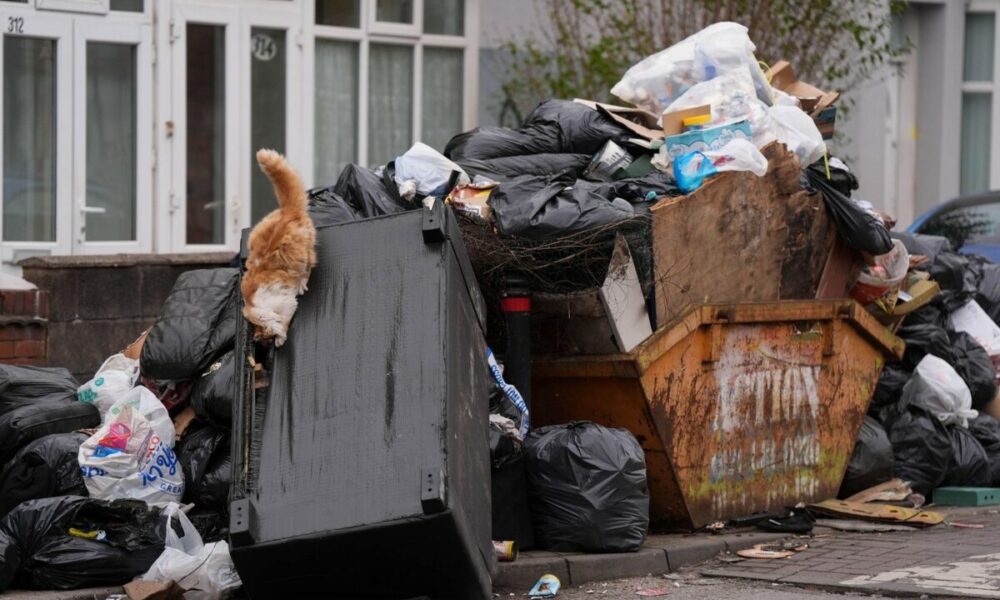 cum-a-ajuns-romania-sa-importe-gunoiul-europei.-mecanismele-care-au-deschis-larg-portile-pentru-deseuri